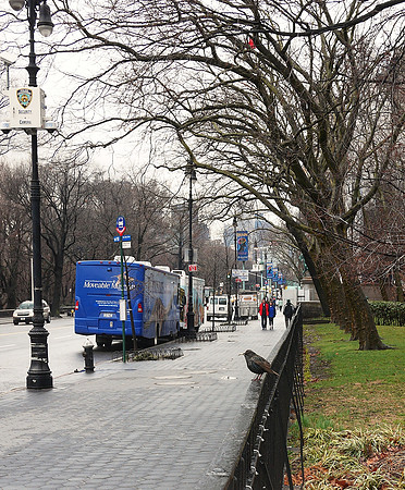 Central Park West at the Museum of Natural History