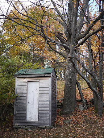 Outhouse, Tree, Grouse