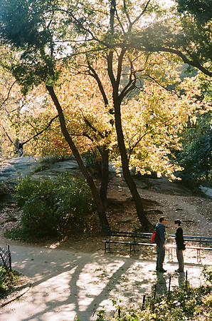 Central Park, Autumn