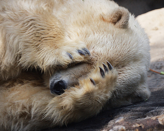 Peek-a-boo!