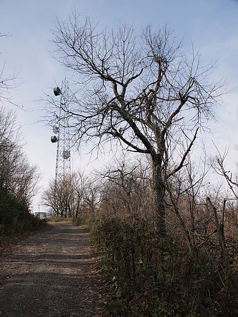 On Mount Utsayantha