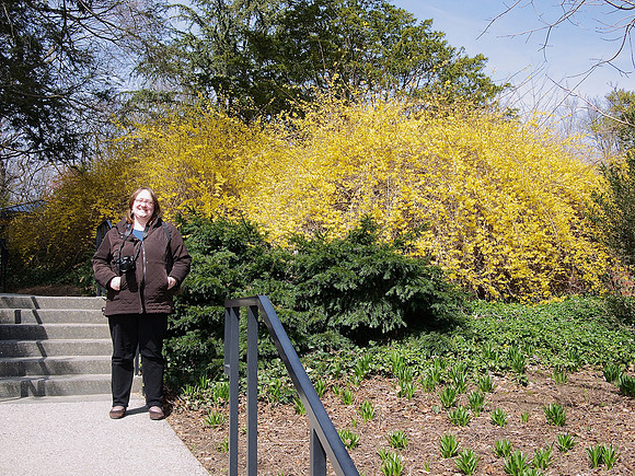 Elena with Forsythias at Longwood Gardens