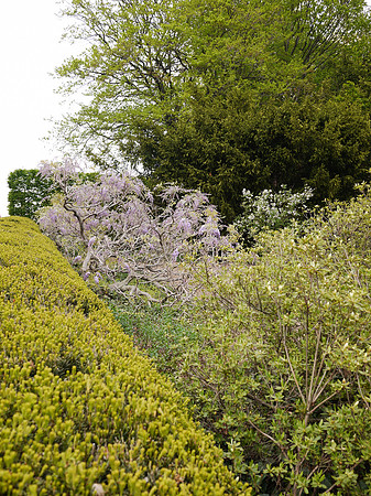 Brooklyn Botanic Garden