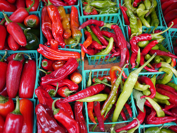 Peppers, Union Square greenmarket