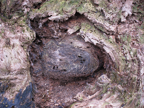 Excavation