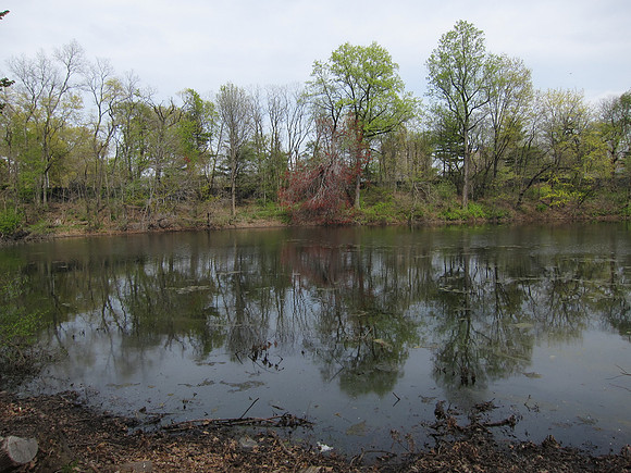 New York Botanical Garden