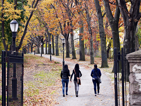 Fort Independence Park, Bronx NY