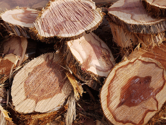 Wood, Union Square Greenmarket