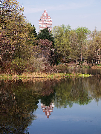Turtle Pond