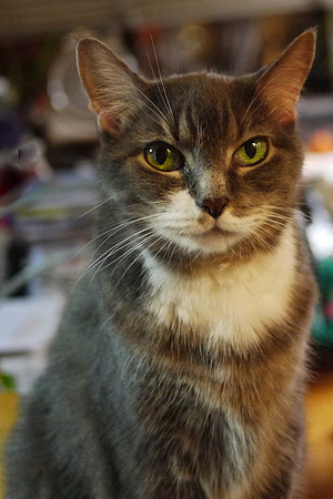Lucy