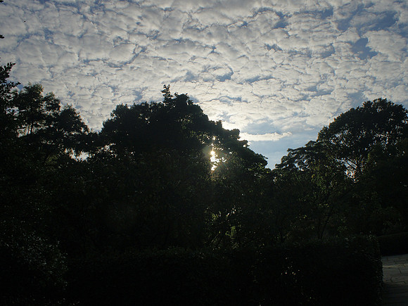 Sunset, Central Park Conservancy Garden