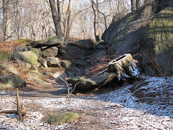 The Ramble, Central Park