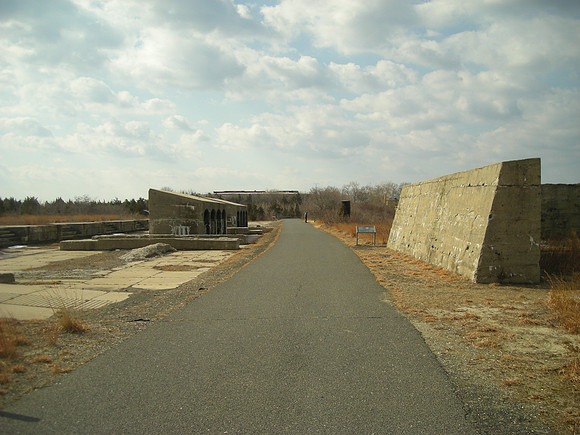 bleak road