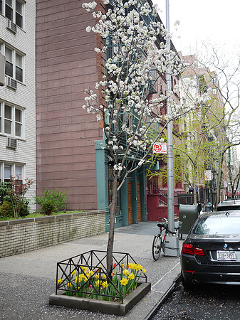 Yorkville