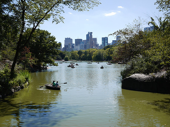 Central Park Lake, Summer