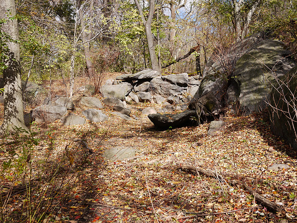 The Ramble, post-Sandy