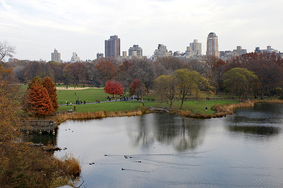 Turtle Pond and the Great Lawn, Autumn