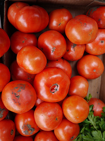 Tomatos