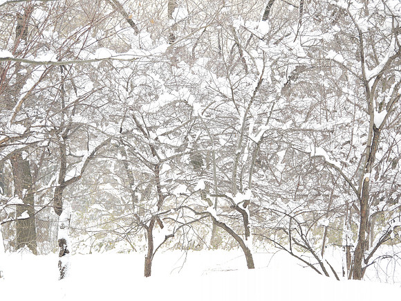 Central Park West, 80th Street.