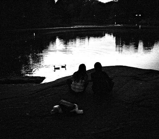 the dusk, the ducks