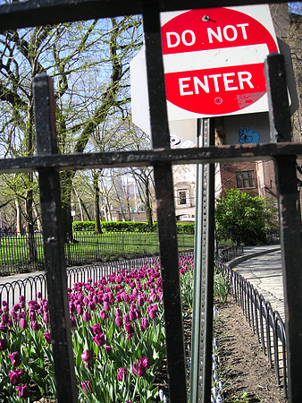 TULIP ZONE -- DO NOT ENTER