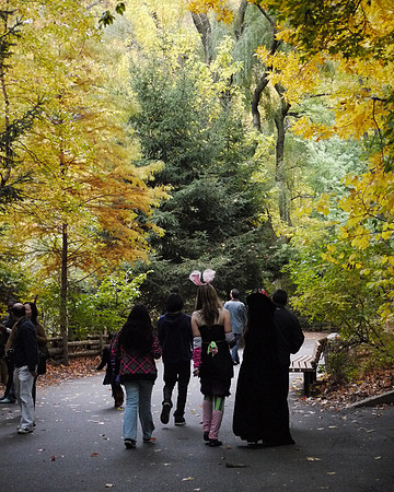 Bronx Zoo, nearly Halloween