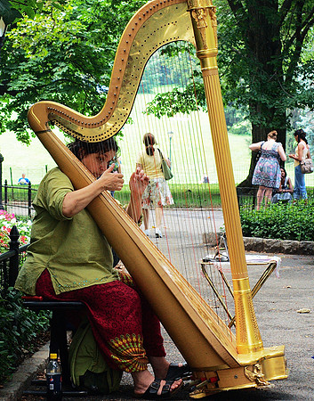 harpist