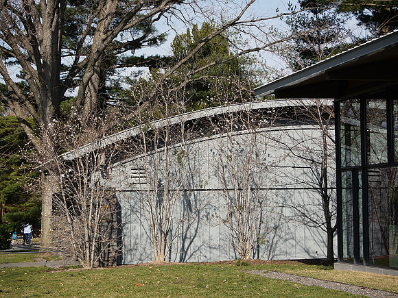 NY Botanical Garden