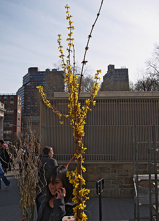 At the Union Square greenmarket