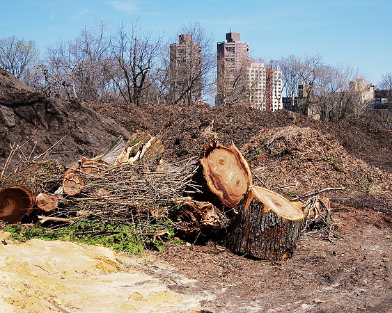 "Compost Hill", Central Park