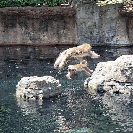 acrobatic