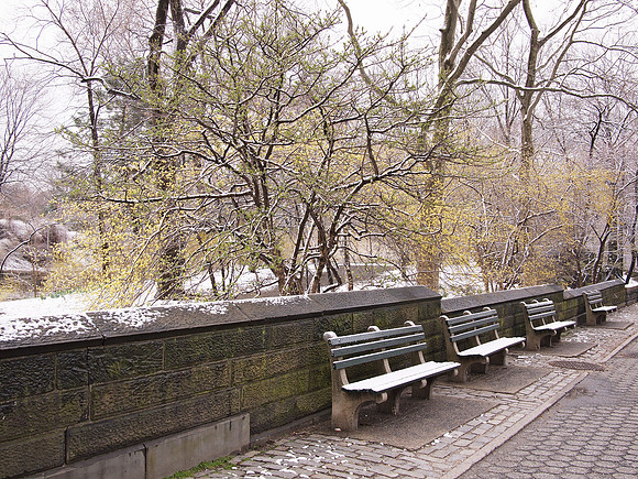 Spring snow