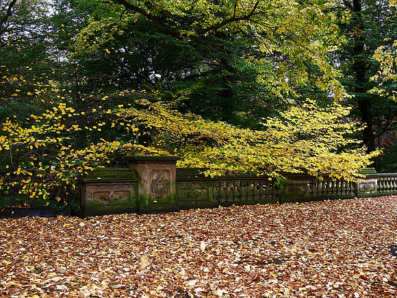 Central Park, Autumn