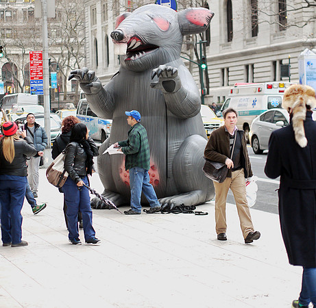 Union Rat, 42nd Street