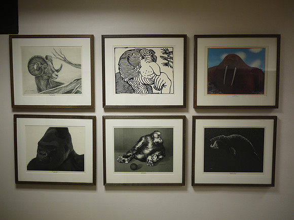 Art, Memorial Sloan-Kettering