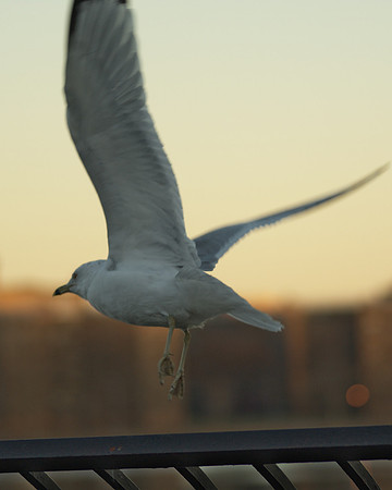 ...and away!