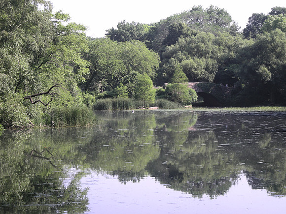 reflection