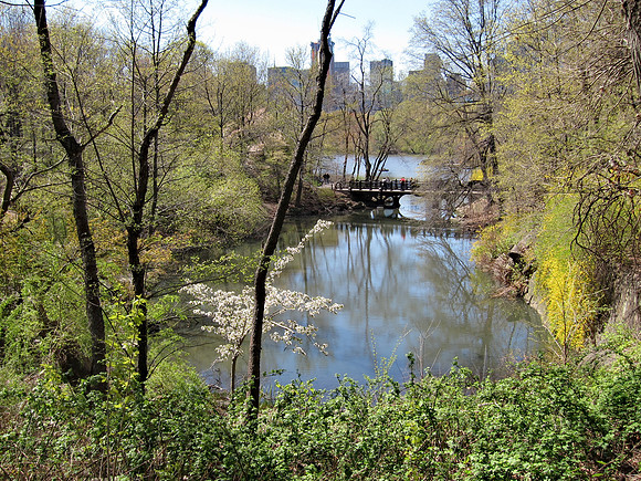 Upper Lobe of The Lake, Central Park