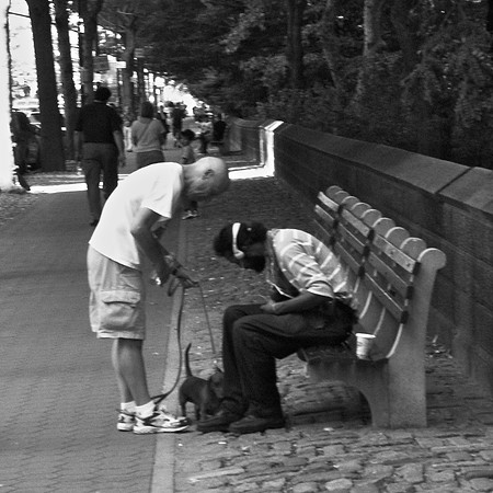 friends, Central Park West