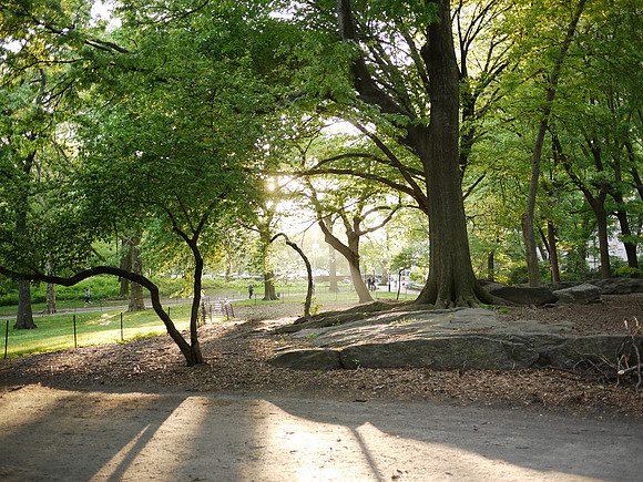 Central Park, near West 81st Street