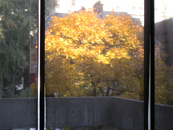 glowing tree (2)