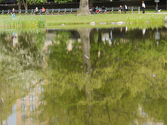 Harlem Meer