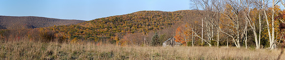 Prattsville NY