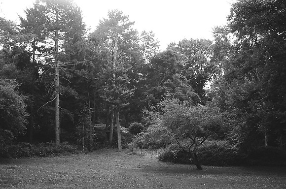 "Maintenance Field", Central Park