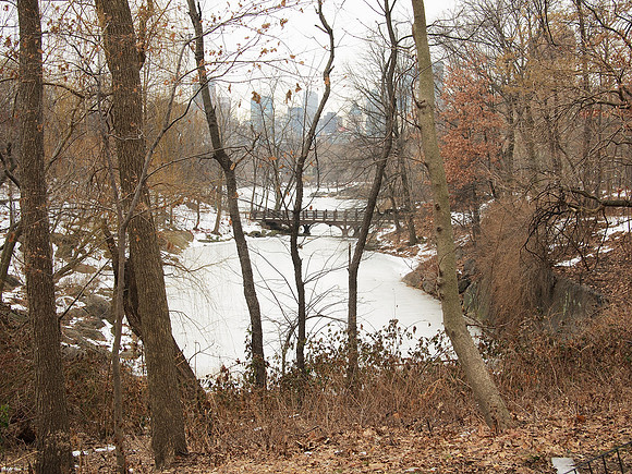 Central Park Lake, Bankrock Bridge