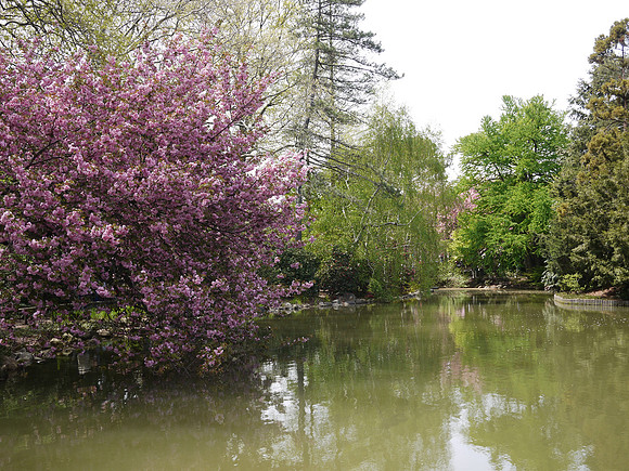Brooklyn Botanic Garden