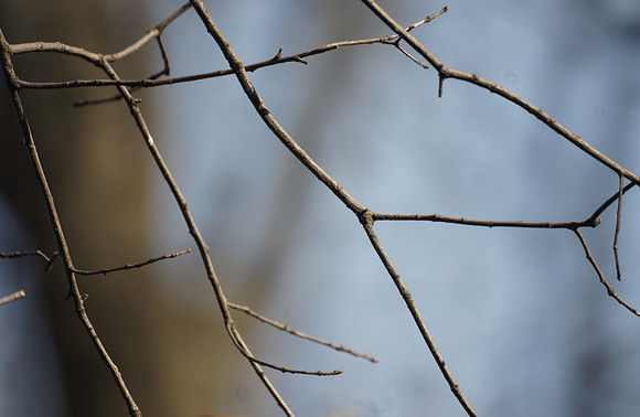 Empty frame