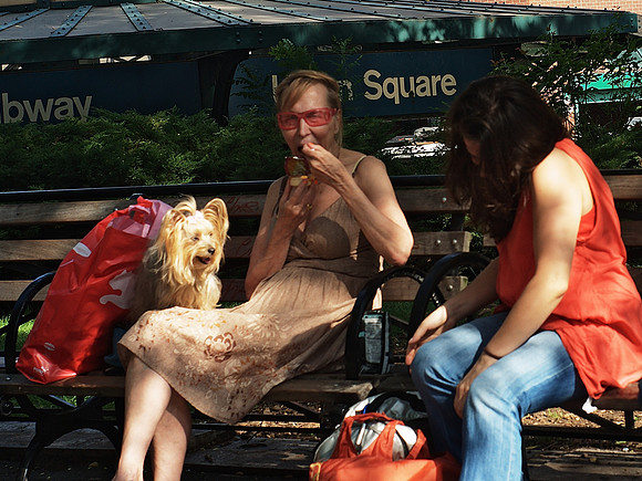 Union Square Park, Summer 2009