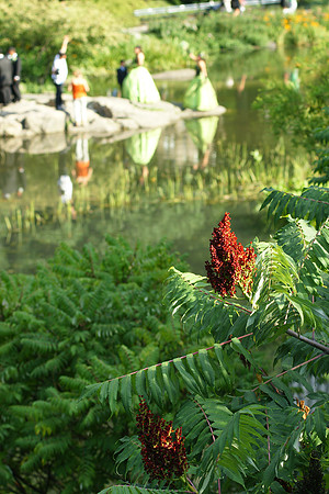 At the Pond, Central Park