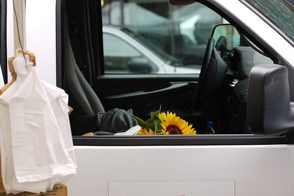 Shotgun sunflower